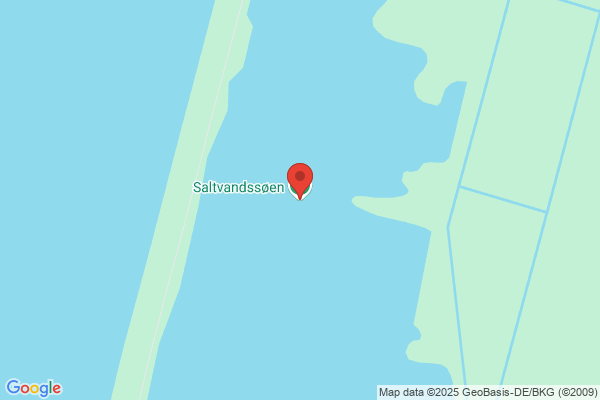 Saltsøskovens vandværk