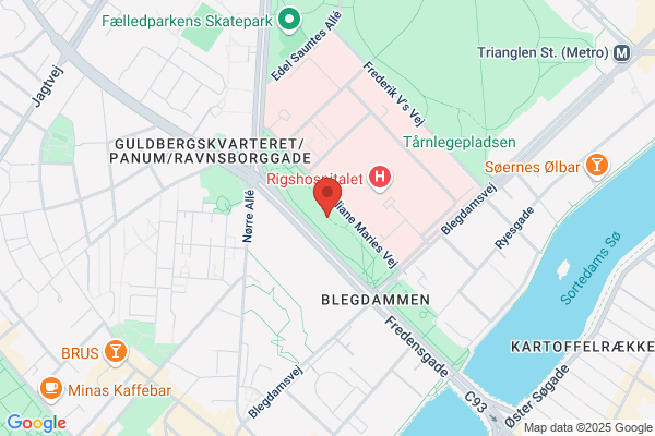 Bonnesen, Birgit