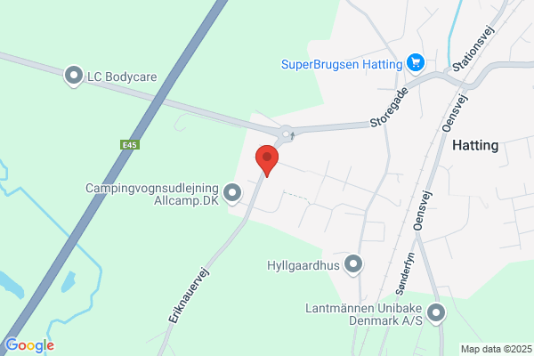 Handelshøjskolens Forlag A/S