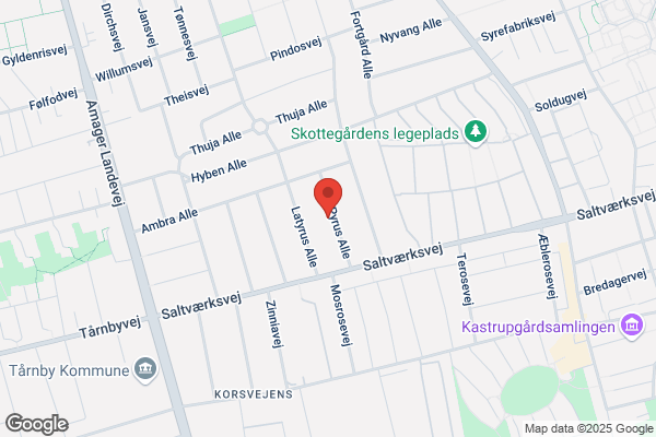 Plejehjemmet