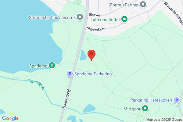 BLS Sprogskole