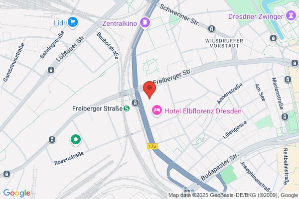 DLI-Danish Language Institute