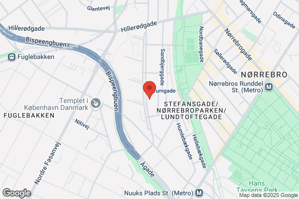 Taxivognmands Virksomhed