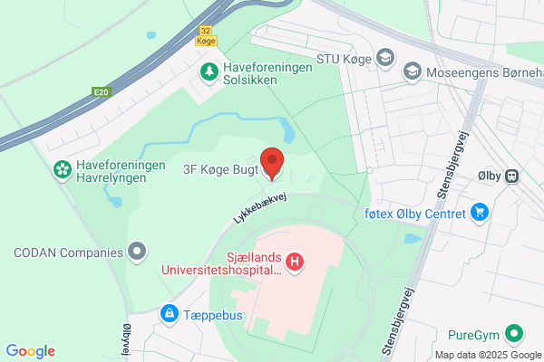 Danmarks Frie Fagforening