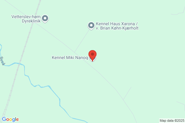 Nibika, Kennel