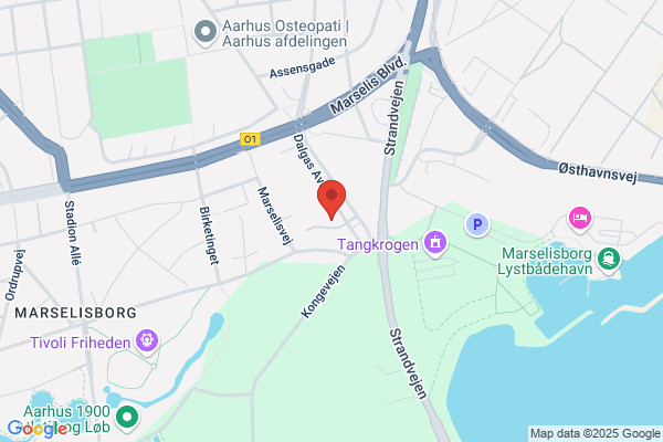 Grønne Hus, Det
