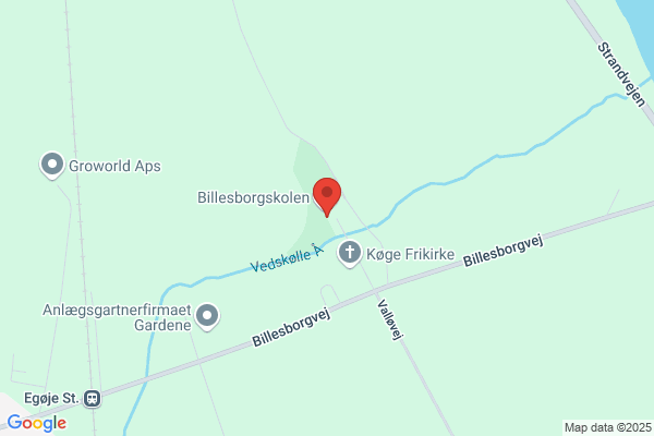 Billesborgskolen, Den Kristne Friskole