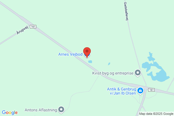 Arnes Bager Vikar