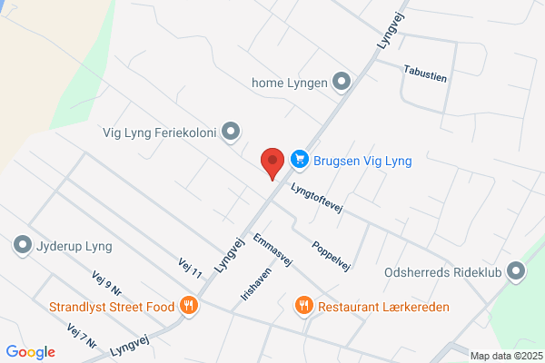 Lyngens Bodega