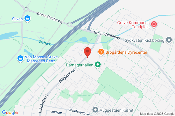 Dammen Integreret Daginstitution