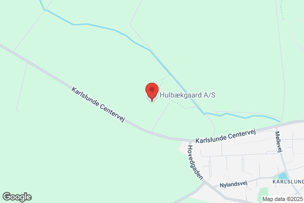 Elisabeth`s Køreskole (Elisabeth Pagh Glarbo)
