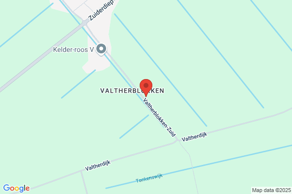 Tanja, Salon