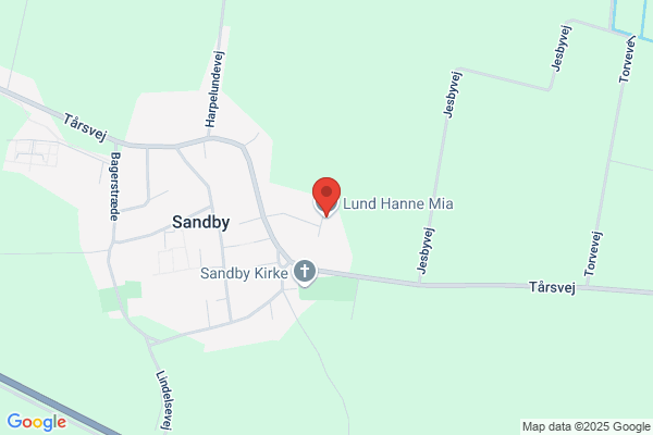 Hansen, Hanne