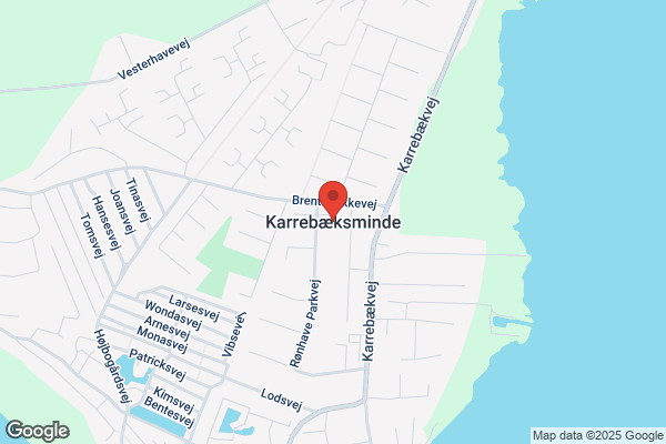 Damborg Revision Preben Damborg