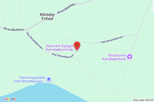 Festsiden.dk
