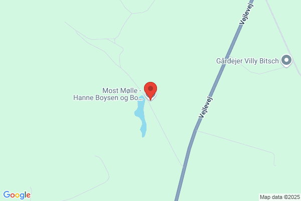 Hanne Boysen
