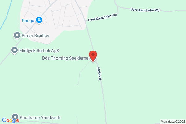 Det Danske Spejderkorps Tjørring Gruppe