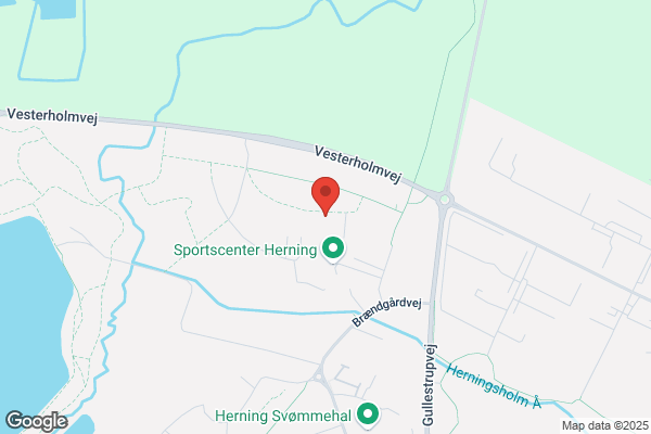 Herning forenede Håndboldklubber