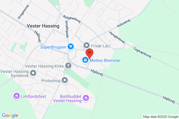 Danish System Building A/S