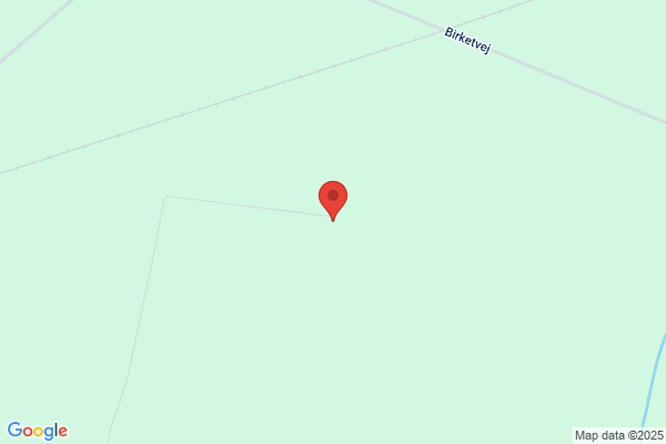 Haaning, Gert