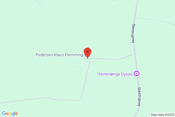 Pedersen Klaus Flemming