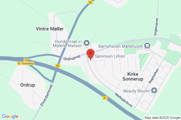 Sanne, Frisør