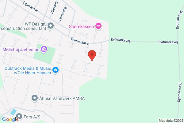 Arnvig Morten Management ApS