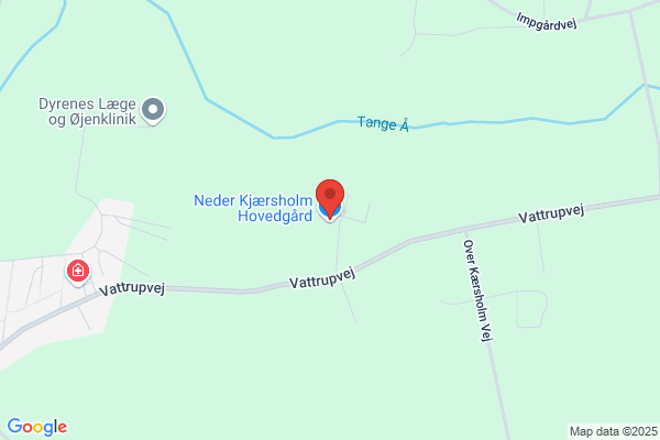 Noesgaard, Salon