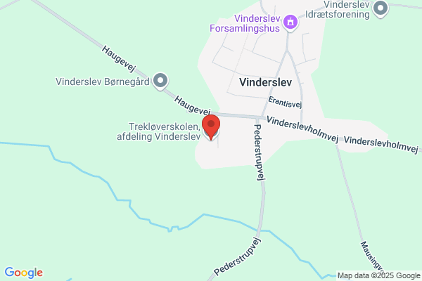 Vinderslev Skole