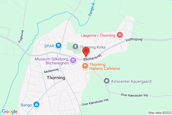 Thorning Foredragsforening