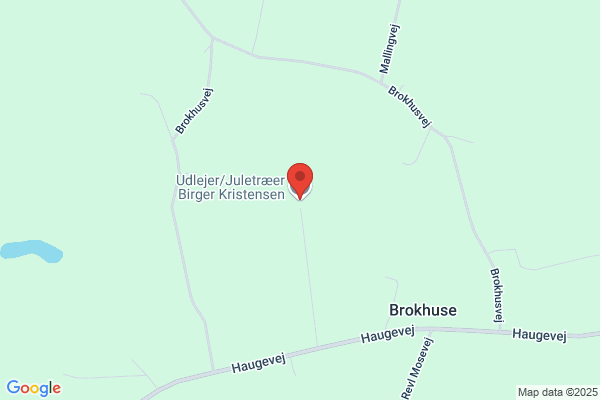 Kristensen, Hanne