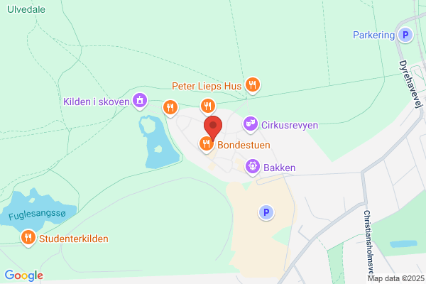 Rutschebanen I/S