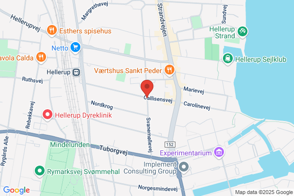 Vibits Ledelse