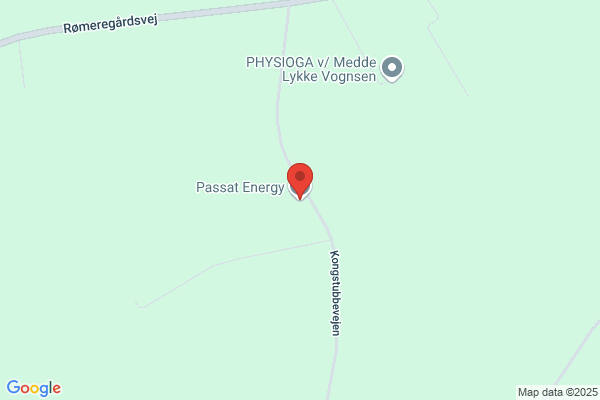 Kongstubbe