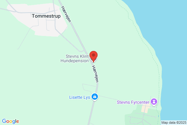 Stevns Hundehotel