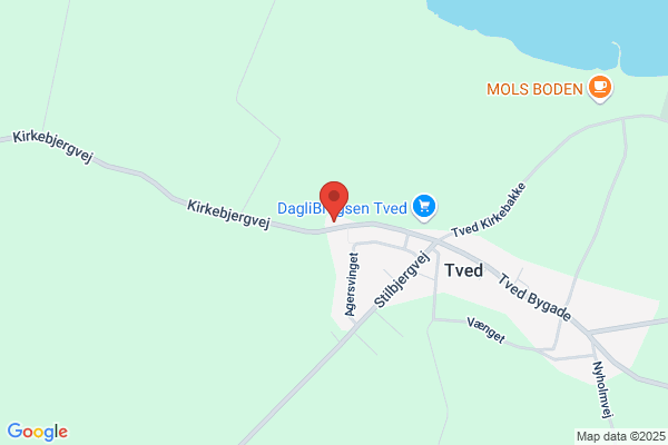 Thansky, Aase
