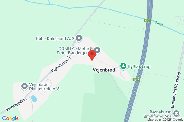 Bjerngaard, Niels Erik
