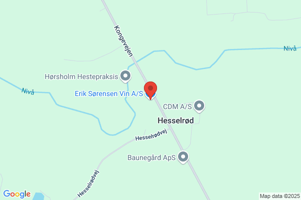 Huuse Erik