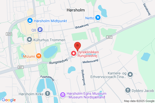 Hørsholm Skoles SFO II