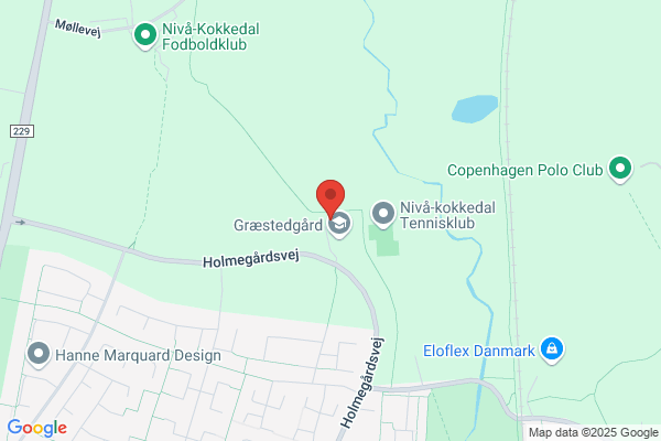 DDS, Folehave Gruppen