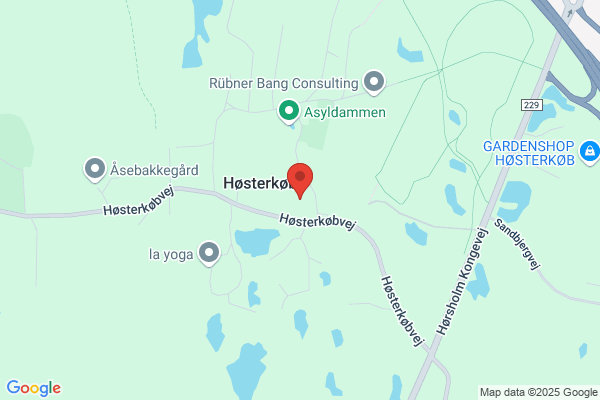 Høsterkøb Festforening (Janne Nordahl Axelsen)