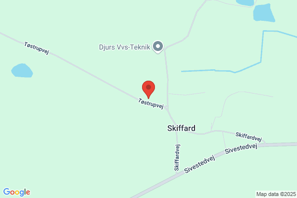 Skiffard Vognmandsforretning