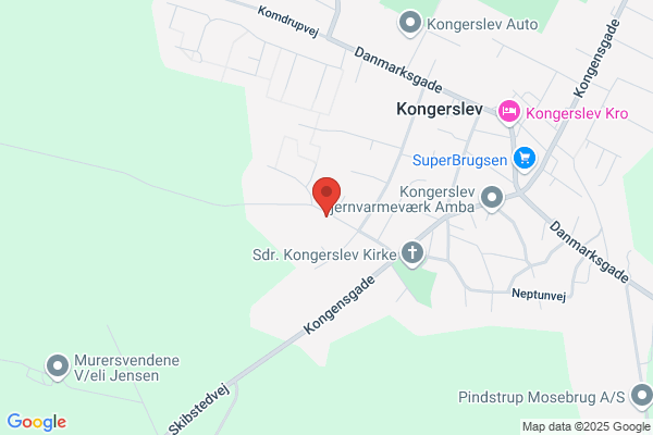 Brevdueforeningen Kongerslev - DAN 0234