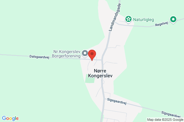 Kongerslev Taxi & Minibusser