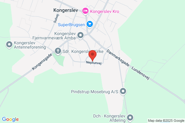 Nielsen Kongerslev ApS, Carl