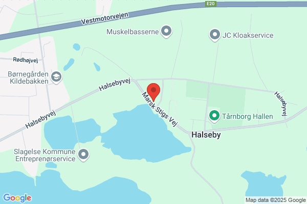 Bjergvejs Auto