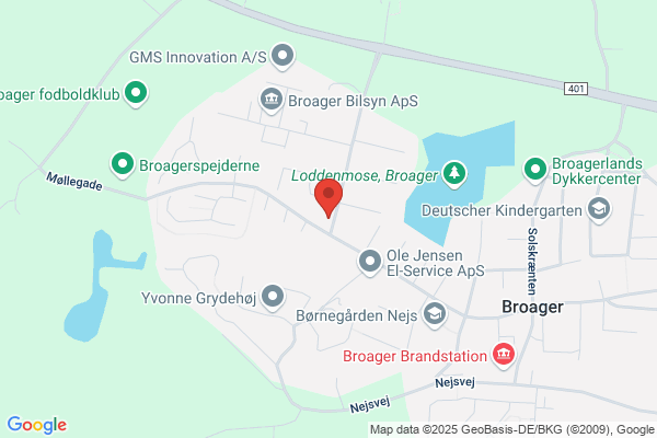 Borg Erik Autoservice