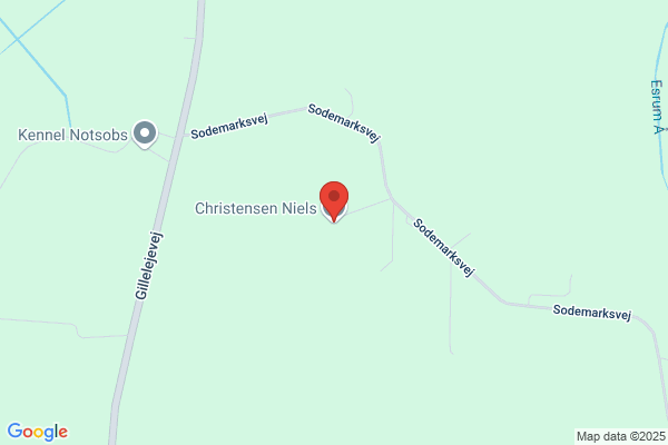 Christiansen, Niels Jørgen