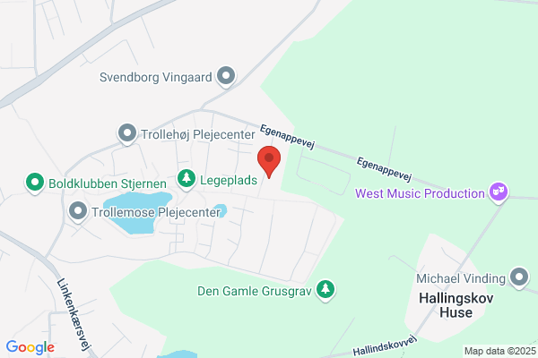 Dansk Silicon Central ApS