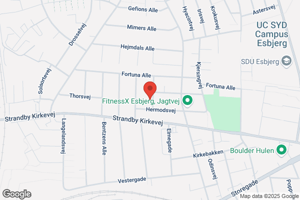 Marchforeningen Fodtusserne
